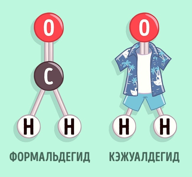 Biologi-shutyat-4