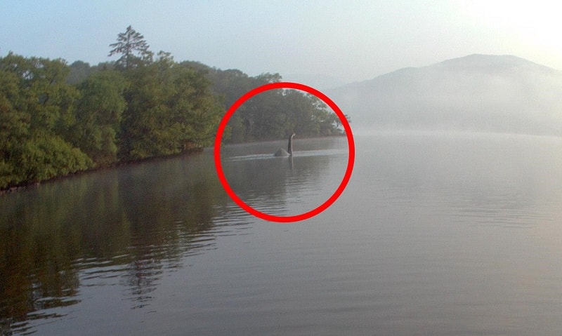 Fotografiya-loh-nesskogo-chudovishha