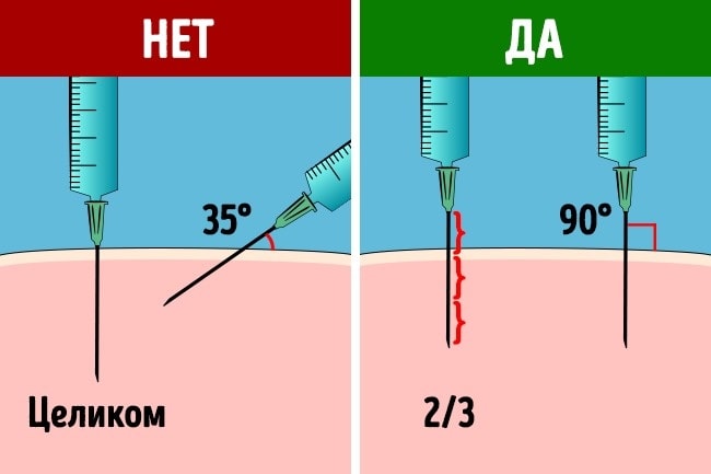 Kak-delat-ukol-v-yagoditsu-2