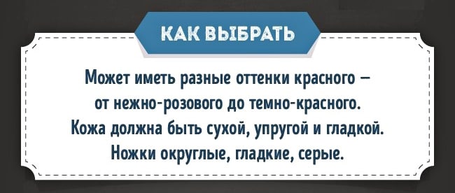 Kak-prigotovit-indeyku-2