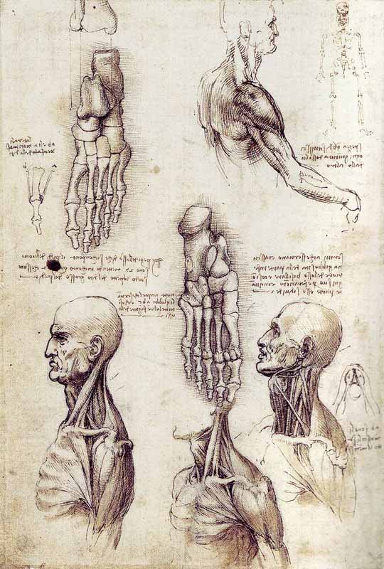 Kartinyi-Leonardo-da-Vinchi-18