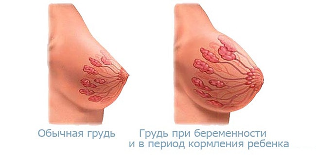 Priznaki-beremennosti-na-rannih-srokah-4