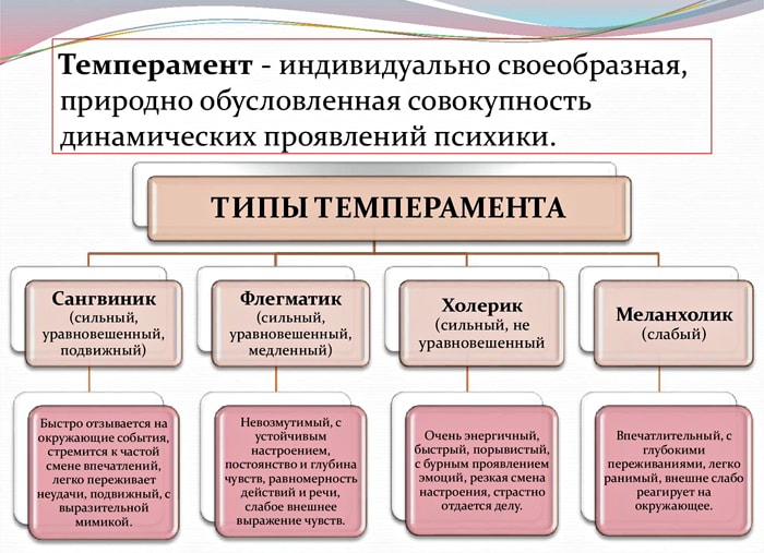 Tipyi-temperamenta-i-ih-svoystva