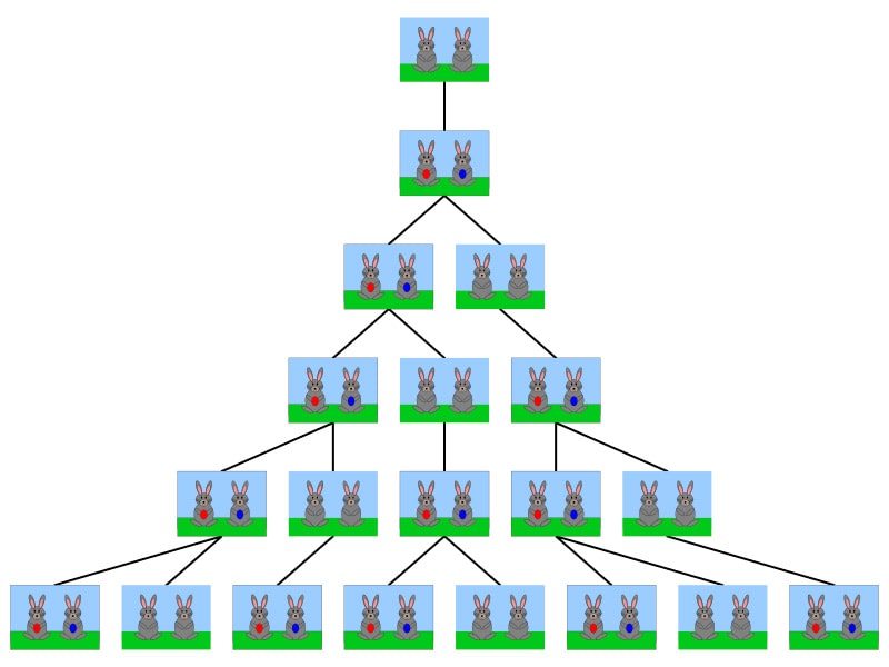 kolichestvo-par-krolikov-obrazuyut-posledovatelnost-fibonachchi