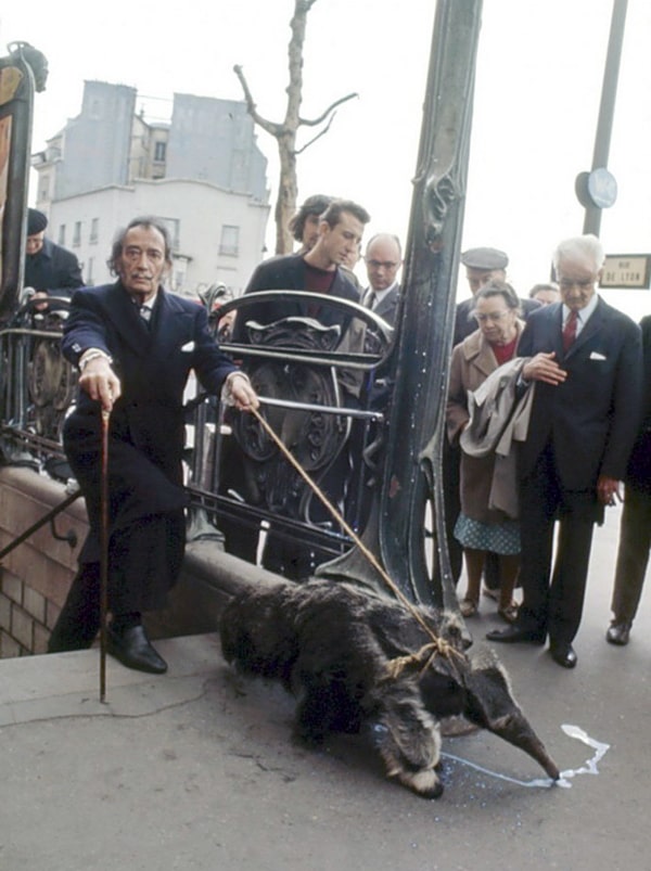 salvador-dali-s-murovedom