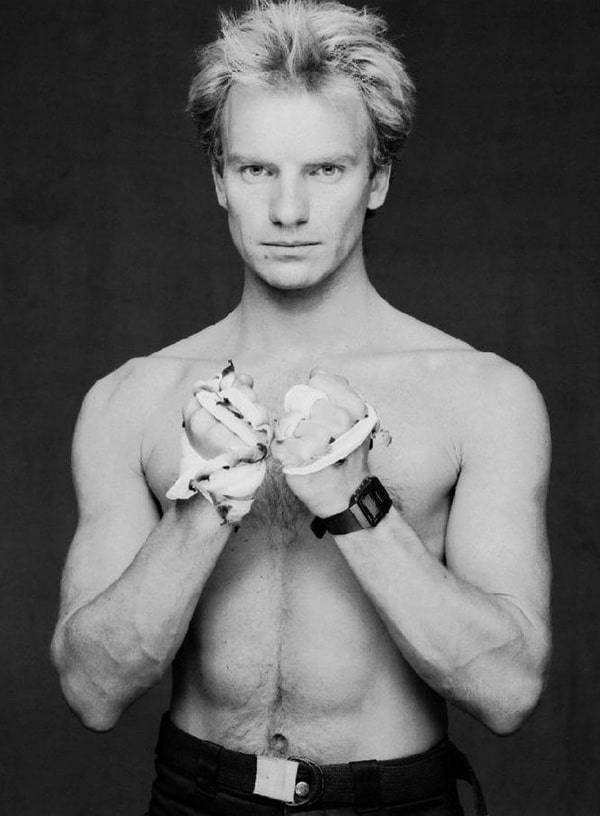 sting-3