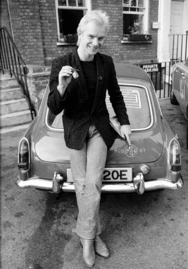 sting-6